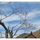 스테이 더 이룸 이미지