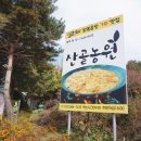 경기도 양평 맛집 산골농원![출처] 경기도 양평 맛집 산골농원!|작성자 쉭 이미지