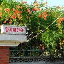 양지여인숙 이미지