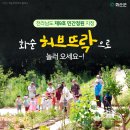 화순허브뜨락 네이버블로그