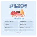 유사나 단백질 쉐이크 후기 (30대남성분)