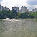 분당중앙공원 이미지