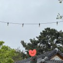 익산카페청풍명월 | 익산 한옥 감성카페 추천｜넓은 정원과 여유가 가득한 청풍명월 카페 방문후기