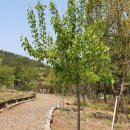 조항농로 이미지