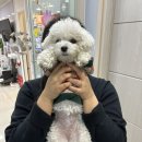리영피부미용관리실 이미지