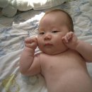 용용죽겠지 이미지