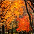 대공원역4번출구 이미지