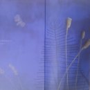 꽃이될개 이미지