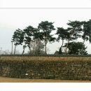 태안향교(태안초) 이미지