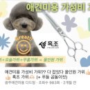 하이엔드 멍 이미지