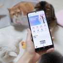오남매푸드 이미지