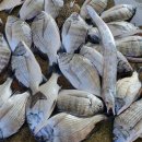 완도민박 이미지