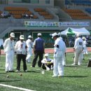 회천게이트볼 이미지