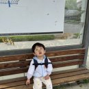 은준농장 네이버블로그