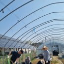 수서농장 이미지