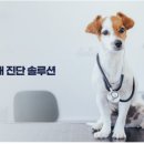 주식회사 키베이직 이미지