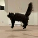 엄마꿈약국 이미지