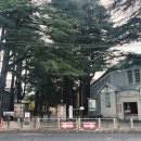 세븐일레븐 영주상망대로점 | 마쓰모토 평화포럼 day 2-3