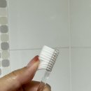 주식회사 비손 네이버블로그