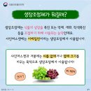 성샤인 이미지