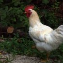 에코에코 협동조합 이미지