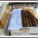 2015년 5월 셋째주의 양봉관리(아카시아꿀채밀 or 익은꿀 만들기,응애약처리,찔레꽃 화분받기,신소초만들기,인공분봉 ) 이미지