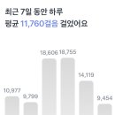 자연사랑대패 이미지