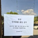 양평 애견 동반 카페 용문산 빵공장 후기