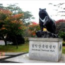 중리카서비스 이미지