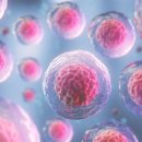 메디암요양병원 이미지