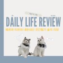 [고양이 쿨매트] 파미야 내돈내산 후기, 복둥이네 또오다 공구로 베르티르 여름 무더위 대피소 준비 완료