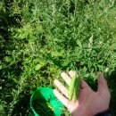 경택농장 이미지