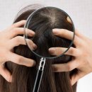 닥터모락 당산점 이미지