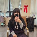 수정애견미용실 이미지