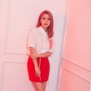 예바라기