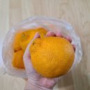 창주농장 이미지