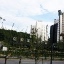 대우현대세탁소 이미지