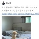 색연필 드로잉 시작하기 이미지