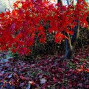 통일공원 이미지