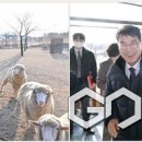 김정기농장 이미지