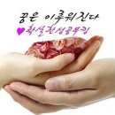호방 Daum카페