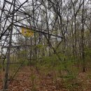 불은면-5 이미지