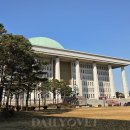 y동물병원 이미지