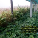 가나청소대행 이미지