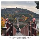 팔마장