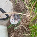 포항 보쉬카 서비스 카엔지니어 | 포항 정비소의 새로운 선택! 보쉬카서비스 카엔지니어