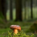 (주)폴라리스 이미지