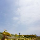 버덩목장 이미지