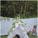 처음처럼 애견펜션 이미지