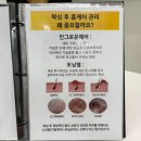 인티마 | 노원왁싱 더라인왁싱 노원본점 브라질리언왁싱 후기
